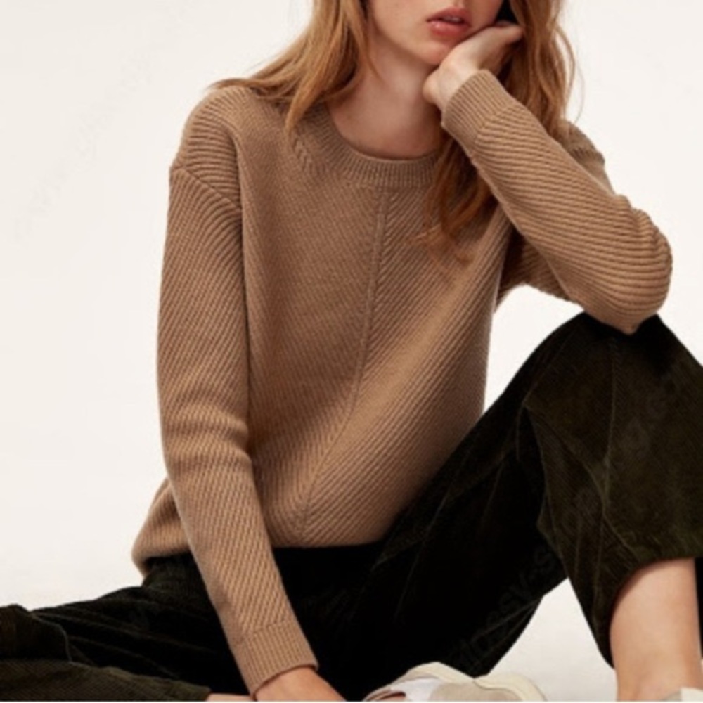 ARITZIA 100% wool sweater